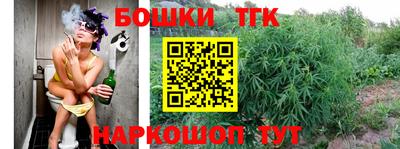 спайс Кандалакша