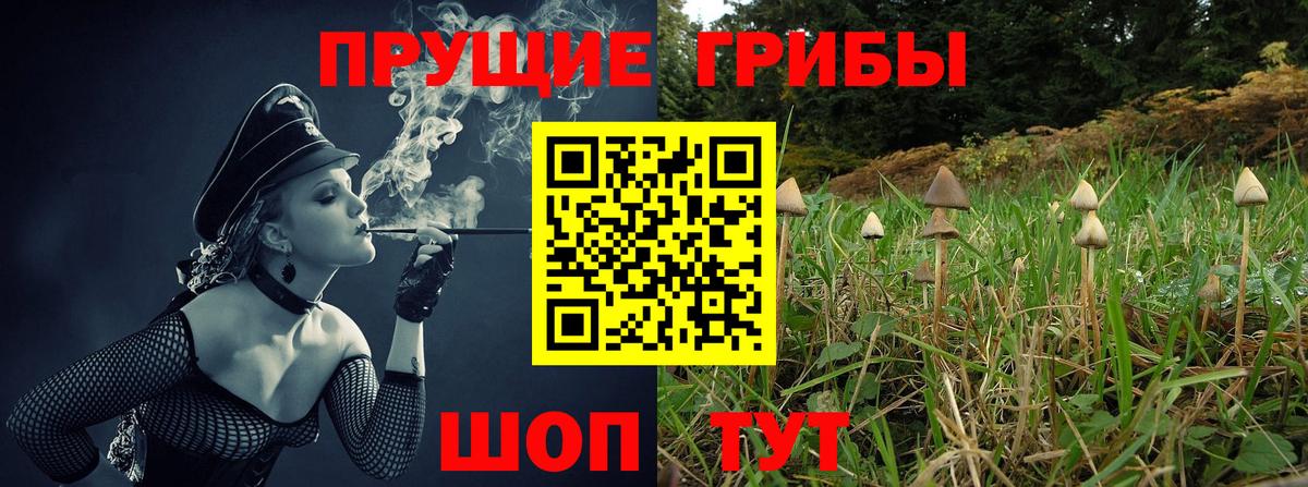 Псилоцибиновые грибы ЛСД Кузнецк