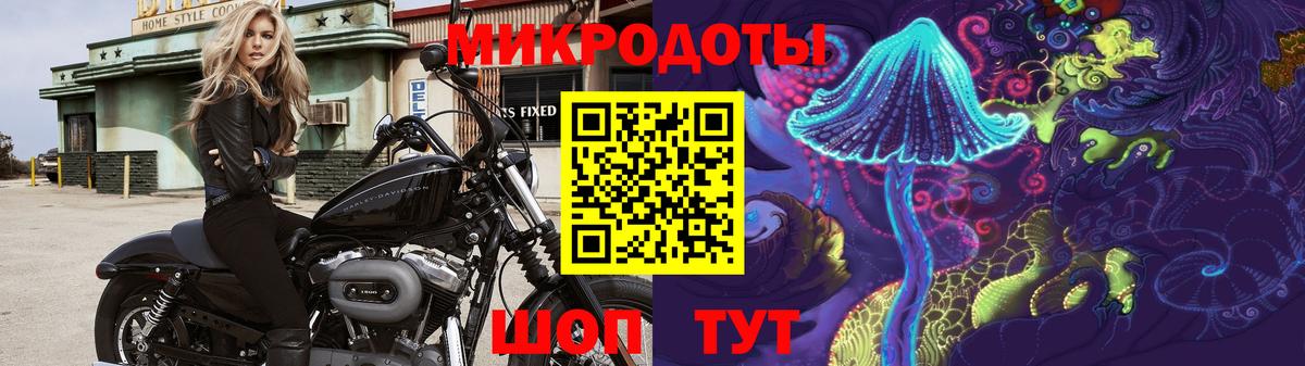 Псилоцибиновые грибы GOLDEN TEACHER  Вход с VPN  Галлюциногенные грибы Cubensis  Кузнецк 