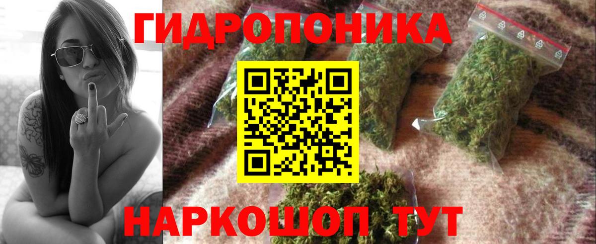 Каннабис тримм  Бошки Шишки сатива  Вход с VPN  Кузнецк  Шишки марихуана MAZAR  Марихуана OG Kush 